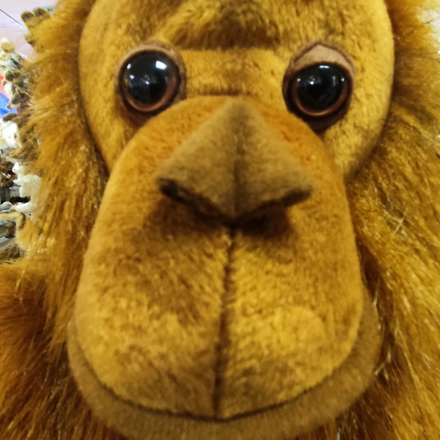 Elias