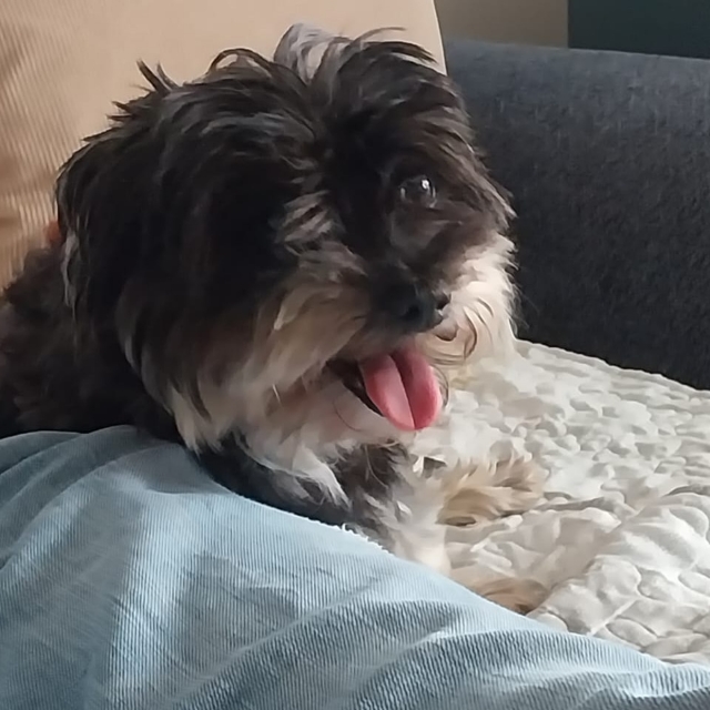 Marcel