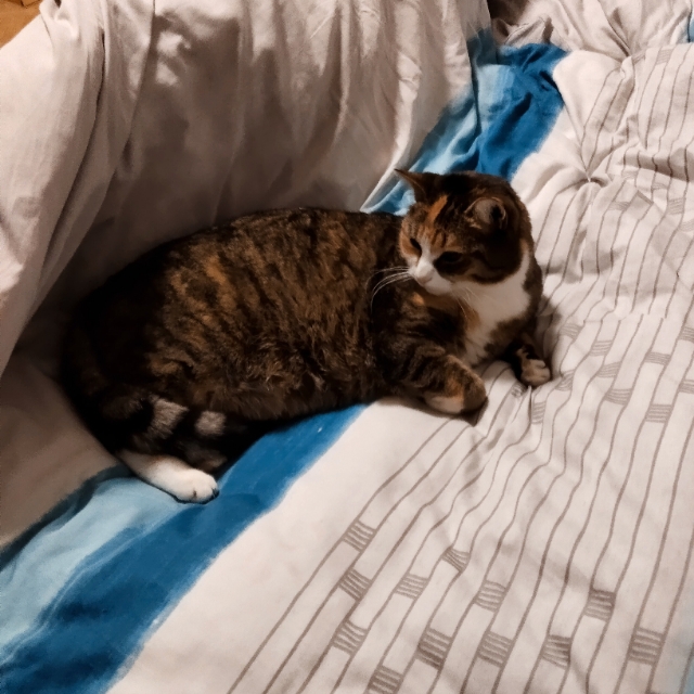 Hubert