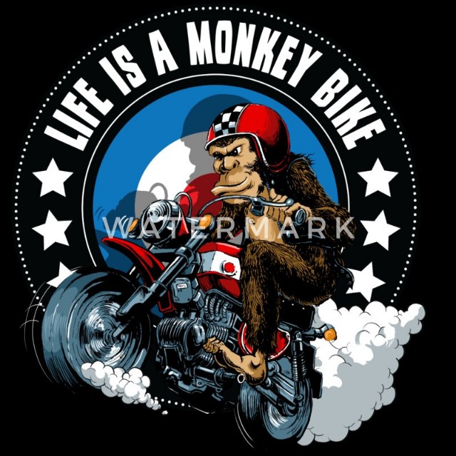 Crazy Monkey