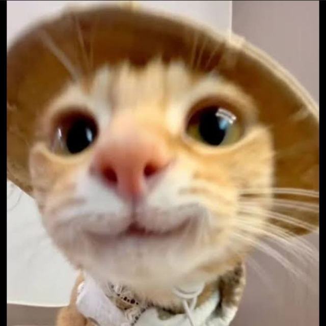 Mor
