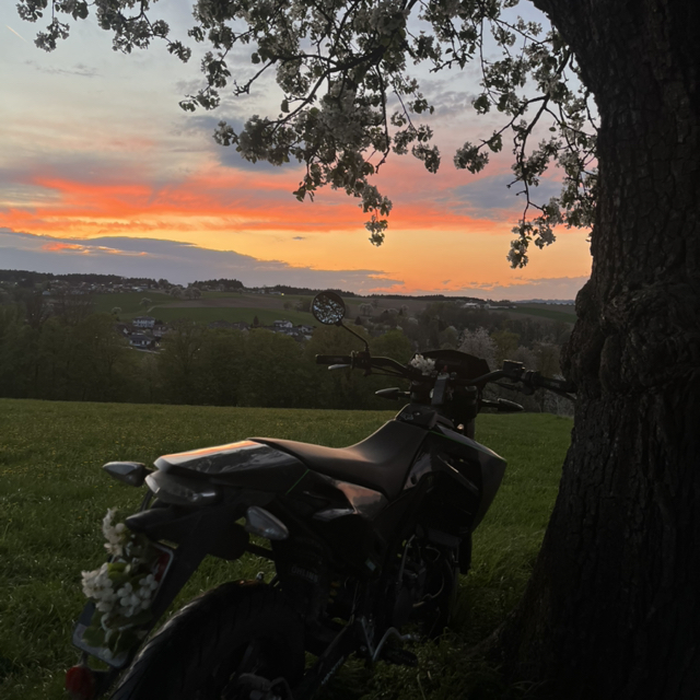 Leonie