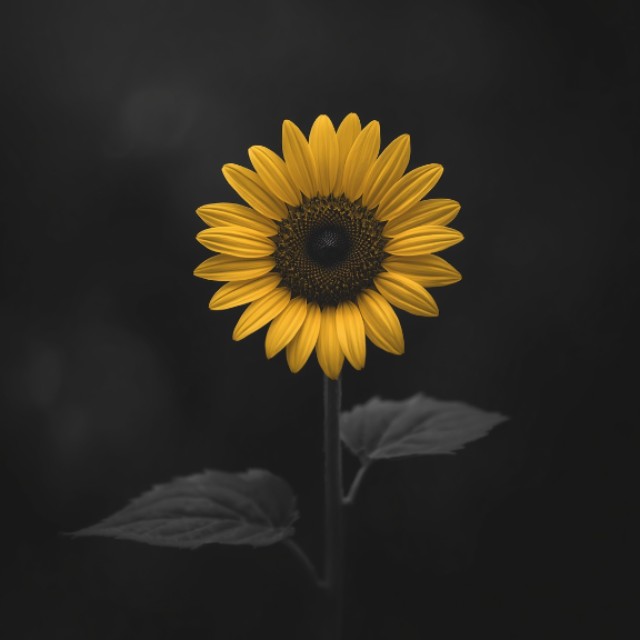 LG