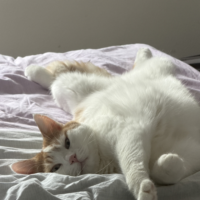 Ali