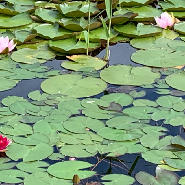 Eigentumswohnung Refugium